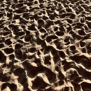 Meet your Posher, Elle